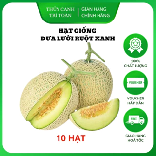 Hạt giống Dưa Lưới Ruột Xanh trồng quanh năm, dễ chăm sóc, trái to, thơm, ngọt (gói 10 hạt) - Hạt giống Rạng Đông