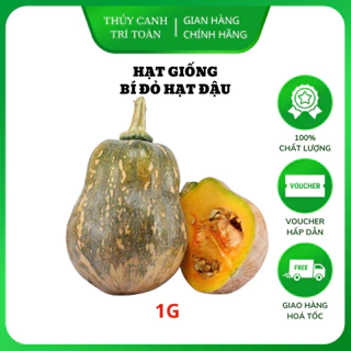 Hạt giống Bí Đỏ Hạt Đậu (Bí Đỏ Hồ Lô) trái sai, thịt nhiều, trồng quanh năm (gói 1g) - Hạt giống Rạng Đông