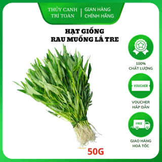 Hạt giống Rau Muống Lá Tre dễ trồng, năng suất cao (gói 50 gr) - Hạt giống Rạng Đông