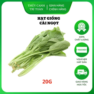 Hạt giống Cải Ngọt giòn, ngọt, bẹ to, trồng quanh năm (gói 20 gr) - Hạt giống Rạng Đông