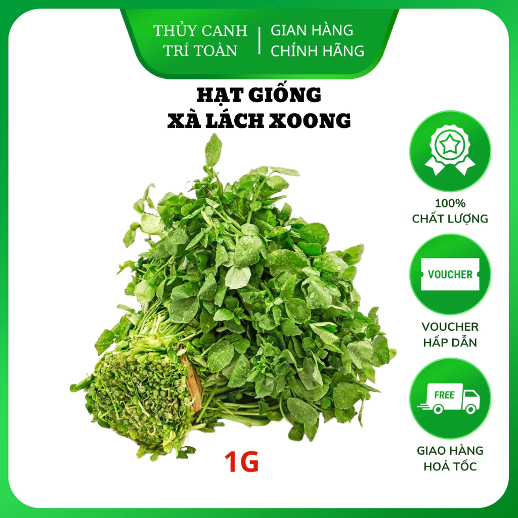 Hạt giống Xà Lách Xoong chịu nhiệt, trồng quanh năm (gói 1 gr) - Hạt giống Rạng Đông