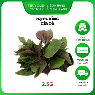 Hạt giống Tía Tô cao sản, dễ chăm sóc, trồng quanh năm (gói 2,5 gr) - Hạt giống Rạng Đông