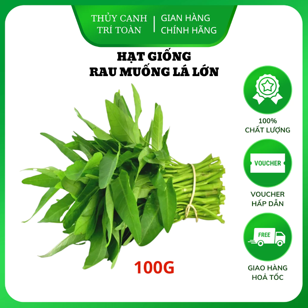 Hạt giống Rau Muống Lá Lớn kháng sâu bệnh tốt, trồng quanh năm (gói 100 gr) - Hạt giống Rạng Đông