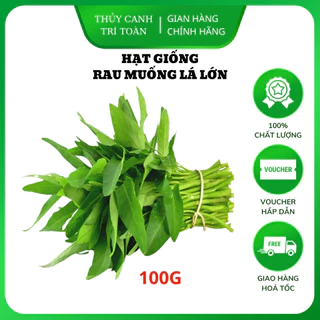 Hạt giống Rau Muống Lá Lớn kháng sâu bệnh tốt, trồng quanh năm (gói 100 gr) - Hạt giống Rạng Đông