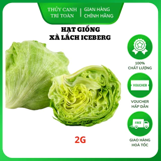 Hạt giống Xà Lách IceBerg (Xà Lách Cuộn) dễ chăm sóc, trồng quanh năm (gói 2 gr) - Hạt giống Rạng Đông