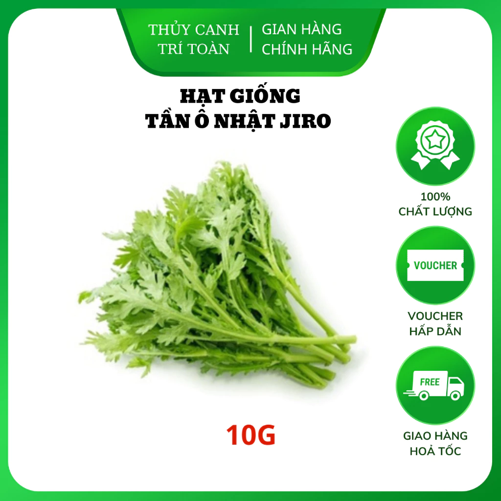 Hạt giống Rau Tần Ô Nhật (Rau Cúc Tẻ) ít sâu bệnh, trồng quanh năm (gói 10 gr) - Hạt giống Rạng Đông