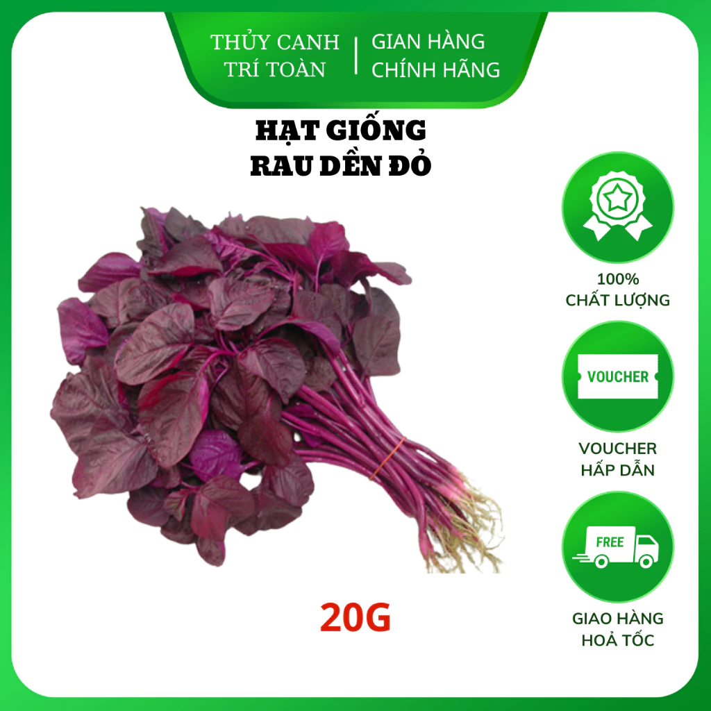 Hạt giống Rau Dền Đỏ sinh trưởng khỏe, trồng quanh năm (gói 20 gr) - Hạt giống Rạng Đông