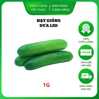 Hạt giống Dưa Leo Lai F1 trái dài, giòn ngọt, đậu quả sai (gói 1gr) - Hạt giống Rạng Đông