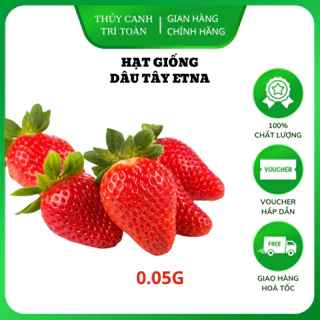 Hạt giống Dâu Tây Đỏ Etna trái đỏ, to, chịu nhiệt tốt, sinh trưởng khỏe, ít sâu bệnh (gói 0,05gr) - Hạt giống Rạng Đông