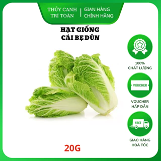 Hạt giống Cải Bẹ Dún giòn ngọt, nhanh thu hoạch, dễ trồng (gói 20 gr) - Hạt giống Rạng Đông