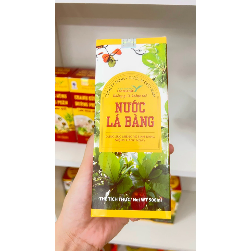 Nước Lá Bàng - hỗ trợ viêm phụ khoa, chân tay miệng, mụn nhọt...