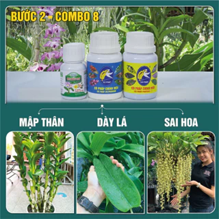 BƯỚC 2 COMBO8 50 - Phân bón giúp cây trưởng thành, ra hoa tự nhiên, dưỡng hoa, dưỡng cây (50g/ml/chai)