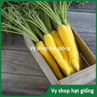 Hạt giống cà rốt vàng giống mới đặc biệt gói 1800 hạt