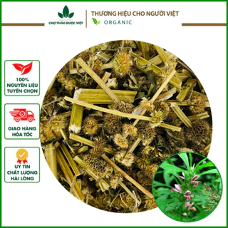 [Giá Sỉ] 1kg Ích Mẫu (Xanh, Thơm, Sạch)