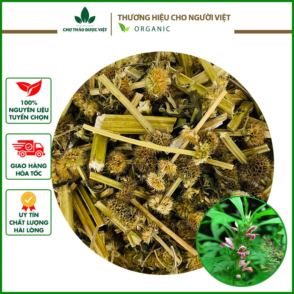 500g Ích Mẫu (Xanh, Thơm, Sạch)