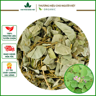 Kim tiền thảo 500g (Kim tiền khô, râu mèo lợi tiểu, tiêu sỏi) - Chợ Thảo Dược Việt