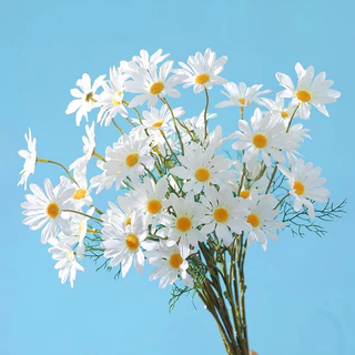 Hoa cúc hoạ mi giả 5 hoa trang trí nhà cửa, decor chụp hình