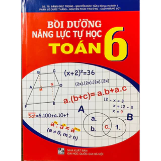 Sách - Bồi dưỡng năng lực tự học Toán 6