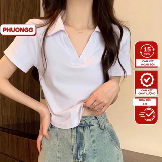 Áo croptop có cổ polp chất Premium Cotton cao cấp co dãn mềm mại freesize <56kg