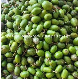 Cóc Non Thái Tươi Sống (1Kg)