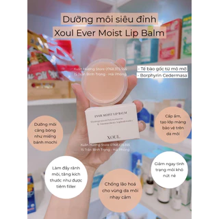 Dưỡng môi Xoul Ever Moist Lip Balm