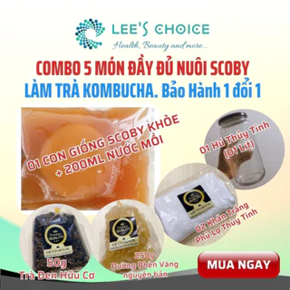 Combo 5 món SCOBY Cực Khỏe + Nước mồi KOMBUCHGA 200ml  LÀM TRÀ Lên Men Nhanh có hướng dẫn chi tiết cho người mới