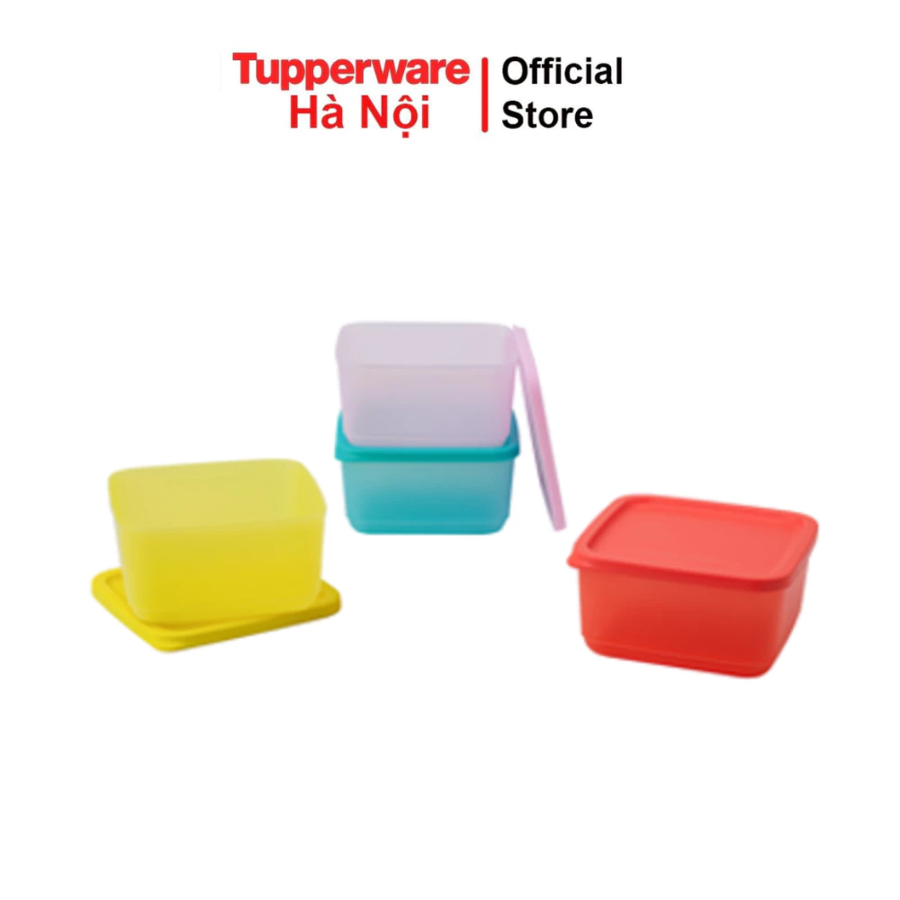 Bộ hộp bảo quản thực phẩm ngăn mát Small Square Round 4 hộp Tupperware nhựa nguyên sinh