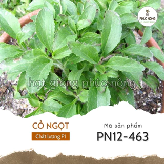 Hạt giống cây Cỏ Ngọt - 5 Hạt