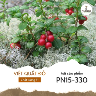 Hạt giống cây Việt Quất đỏ - 30 Hạt