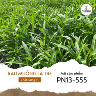 Hạt giống Rau Muống lá tre - 20 Gram