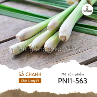 Hạt giống cây Sả Chanh - 10 Hạt