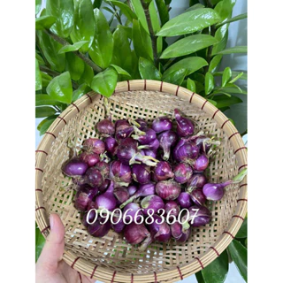 1kg Hành tím sạch nhà trồng - phan rang Ninh Thuận