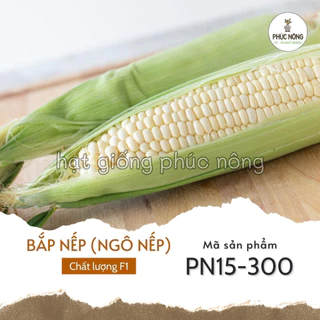 Hạt giống Bắp Nếp F1 - 20 Gram