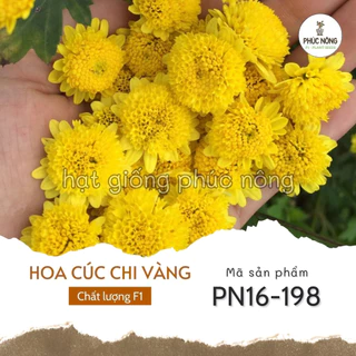 Hạt giống Cúc Chi Vàng - 100 Hạt