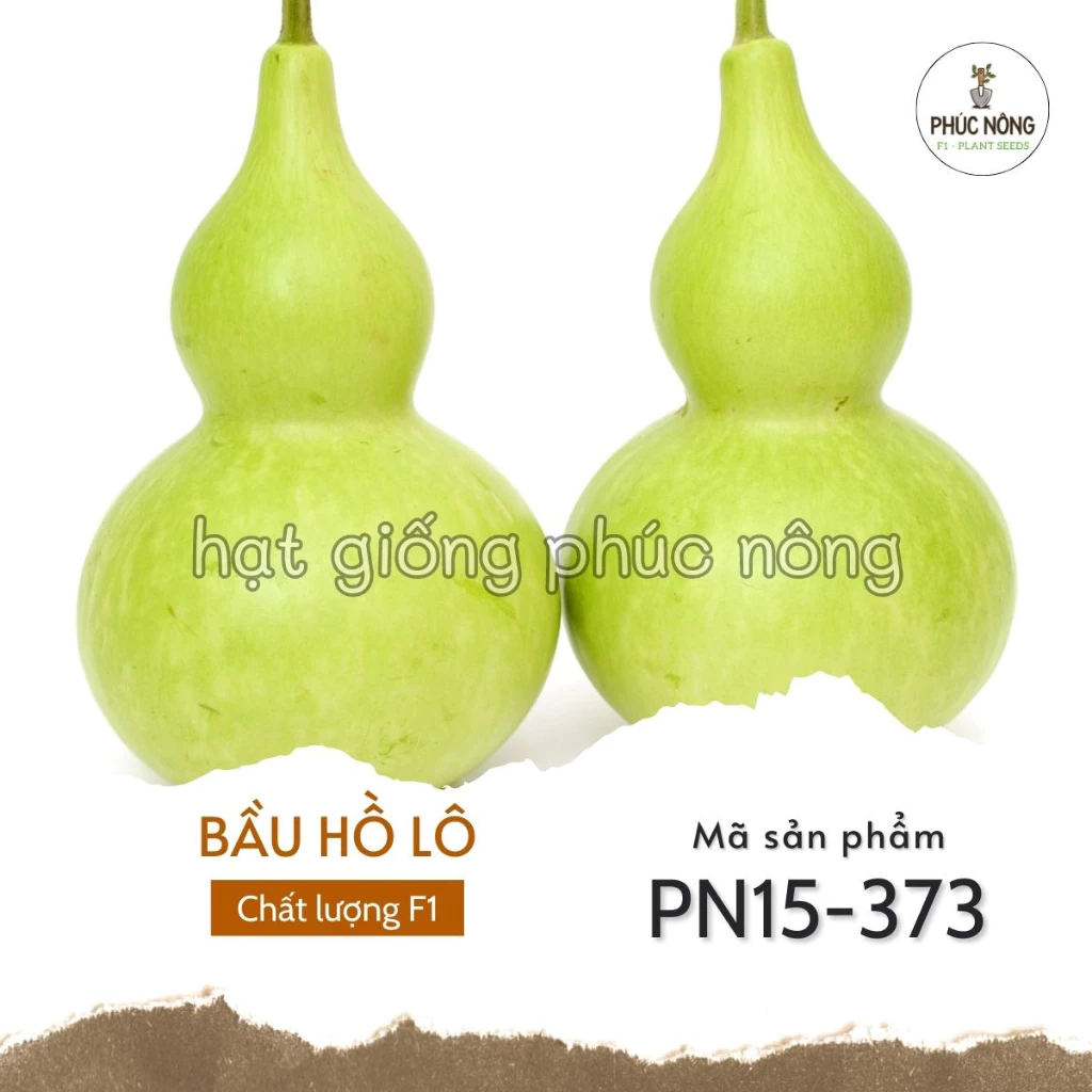 Hạt giống cây Bầu Hồ Lô - 10 Hạt