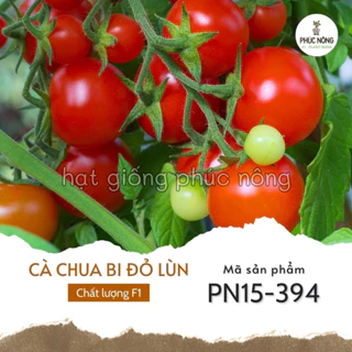 Hạt giống Cà Chua Bi Đỏ Lùn - 30 hạt