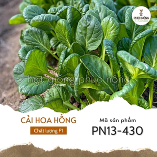 Hạt giống Cải Hoa Hồng - 5 gram