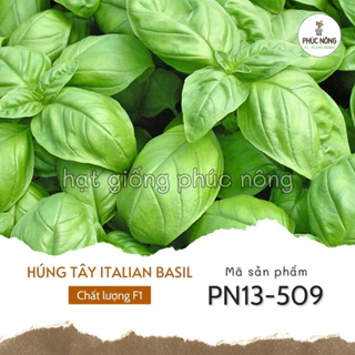 Hạt giống Húng Tây Basil Ý - 200 Hạt