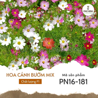 (500 hạt) - Hạt giống Hoa Sao Nhái mix