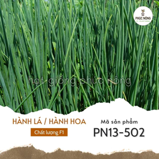 Hạt giống Hành Lá (Hành hoa) - 2 Gram