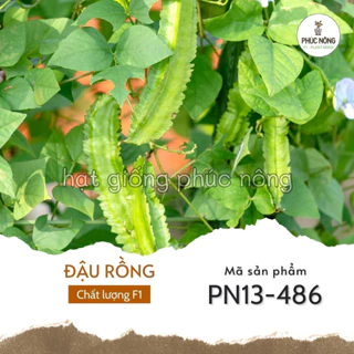 Hạt giống cây Đậu Rồng - 10 Gram