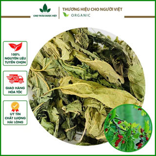 Lá dâu tằm khô 100g (Tang diệp)