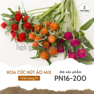 Hạt giống hoa Cúc Nút Áo mix - 50 Hạt