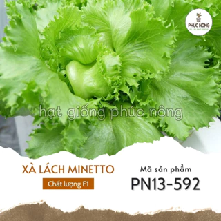 Hạt giống Xà Lách Minetto - 1600 Hạt