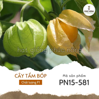 Hạt giống cây Thù Lù - 50 Hạt