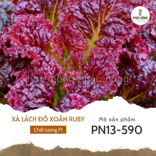 Hạt giống Xà Lách Ruby đỏ xoăn - 1 Gram