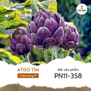 Hạt giống Atiso Tím ( Astiso Tím ) - 10 hạt