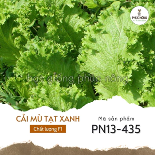 Hạt giống Cải Mù Tạt Cay - 0,5 Gram