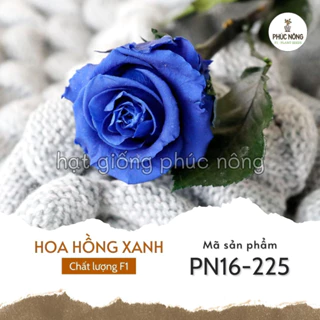 Hạt giống Hoa Hồng Xanh - 20 hạt