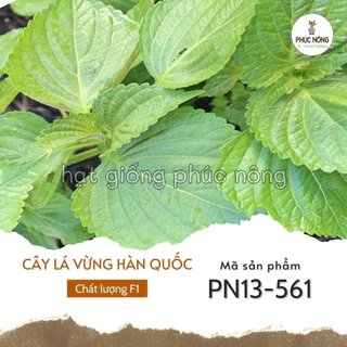 Hạt giống cây Lá Vừng Hàn Quốc - 50 Hạt